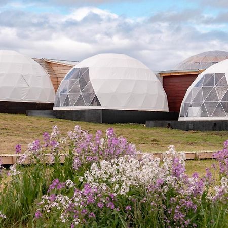 Villa Garden Domes à Puerto Natales Extérieur photo