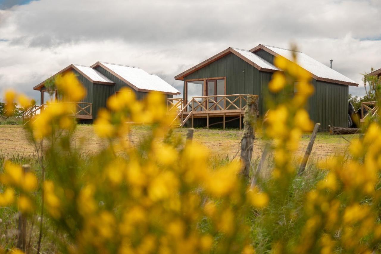 Villa Garden Domes à Puerto Natales Extérieur photo