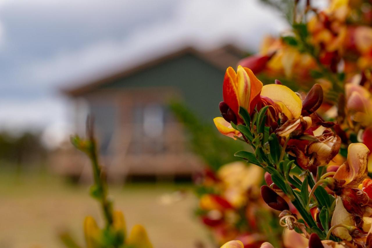 Villa Garden Domes à Puerto Natales Extérieur photo
