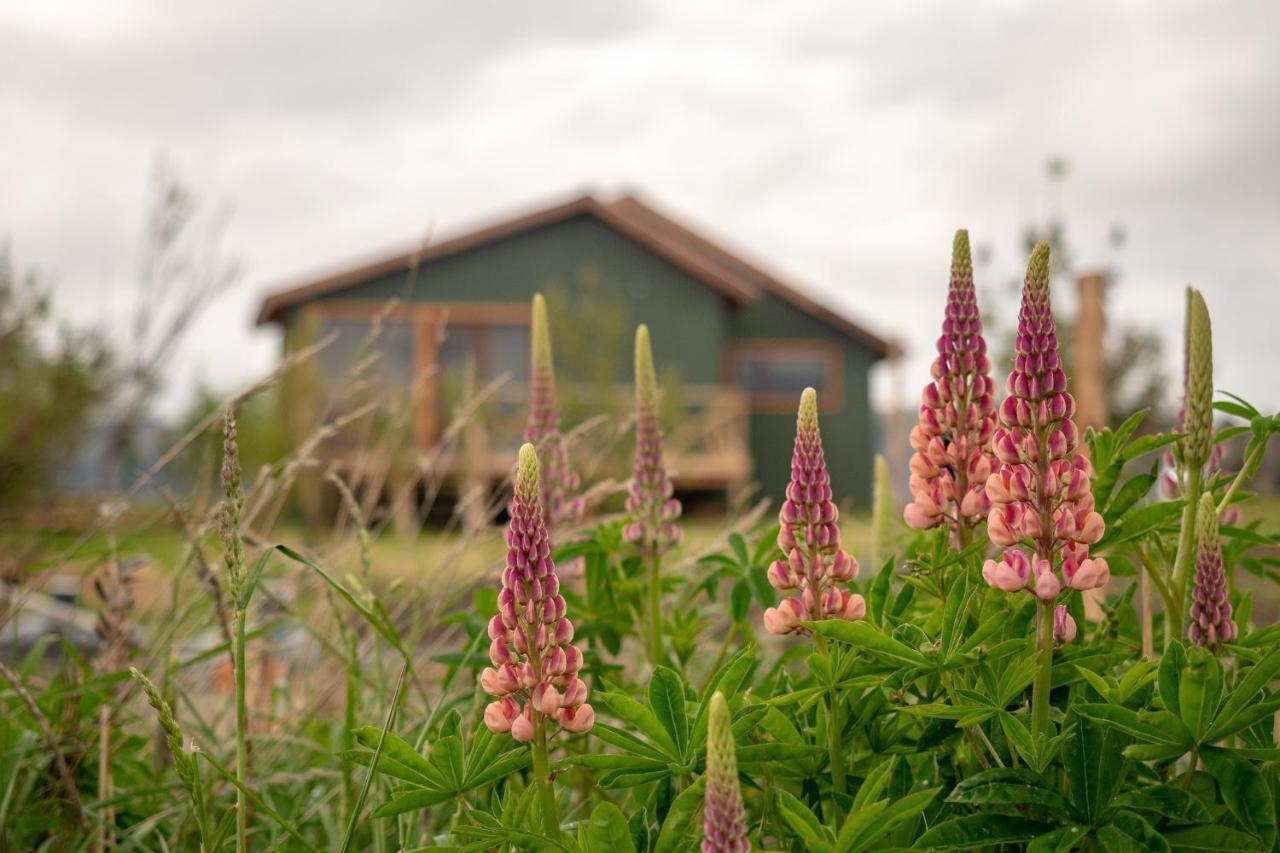 Villa Garden Domes à Puerto Natales Extérieur photo