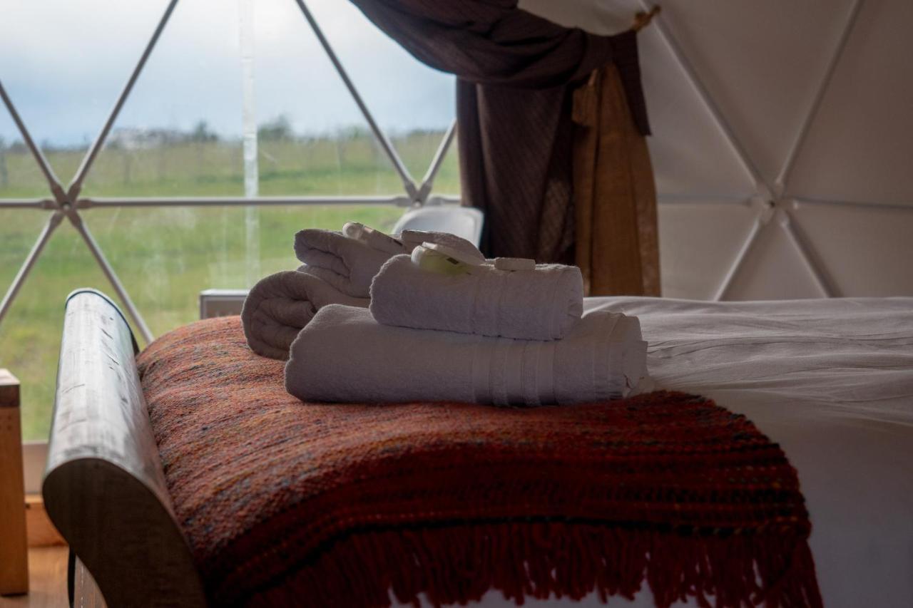 Villa Garden Domes à Puerto Natales Extérieur photo
