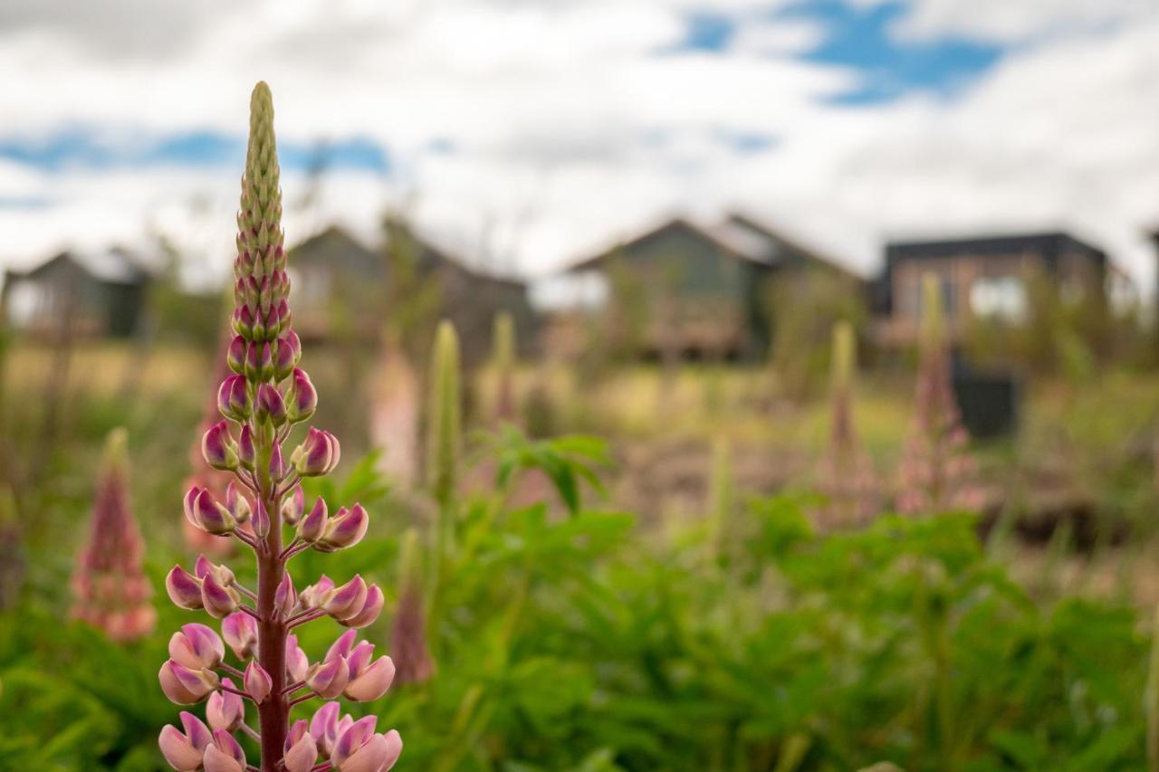Villa Garden Domes à Puerto Natales Extérieur photo