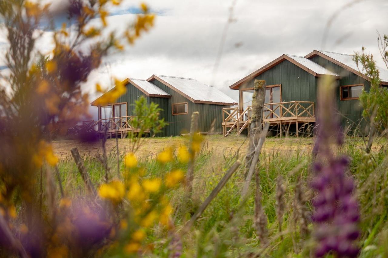 Villa Garden Domes à Puerto Natales Extérieur photo