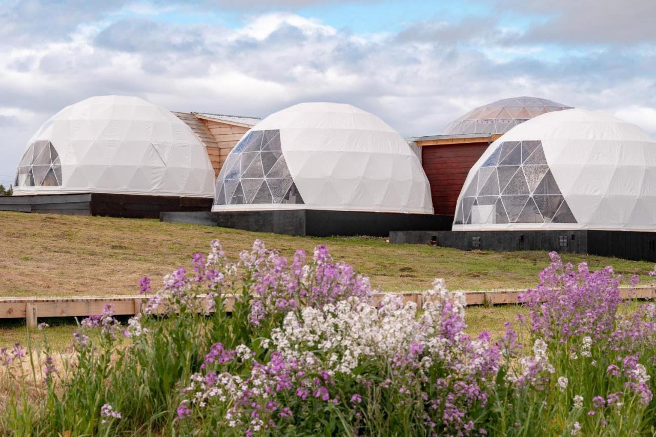 Villa Garden Domes à Puerto Natales Extérieur photo