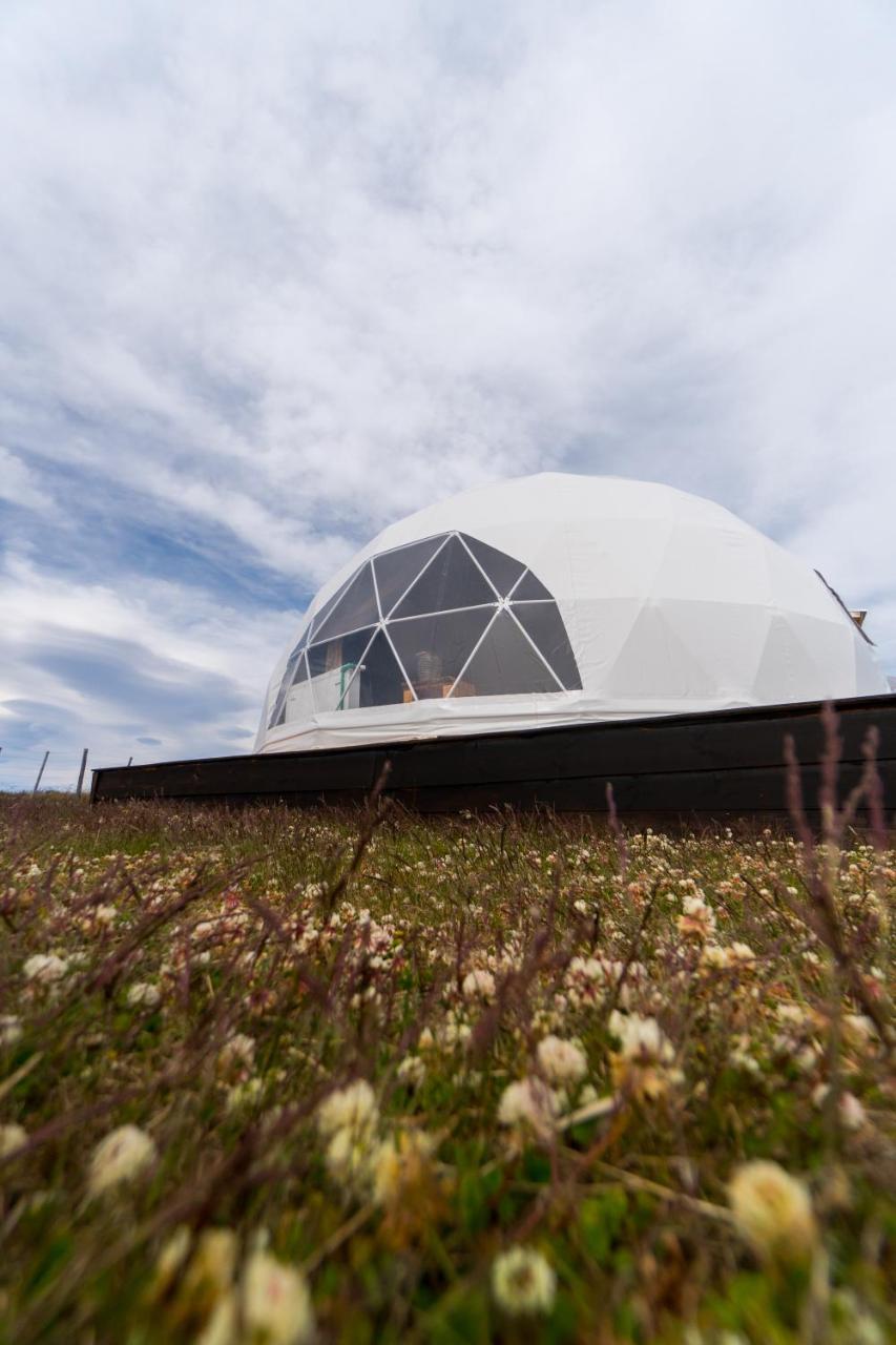 Villa Garden Domes à Puerto Natales Extérieur photo